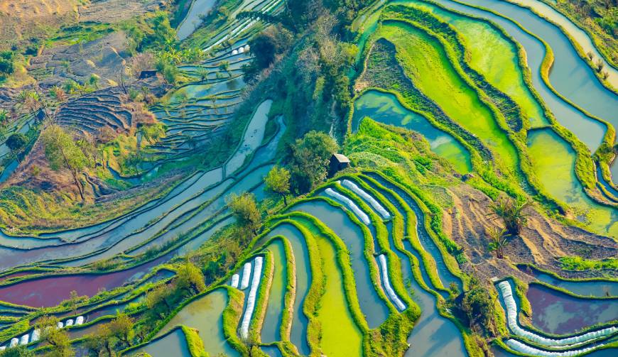 宝妈必备神器：临渭区产品视频拍摄轻松育儿好帮手