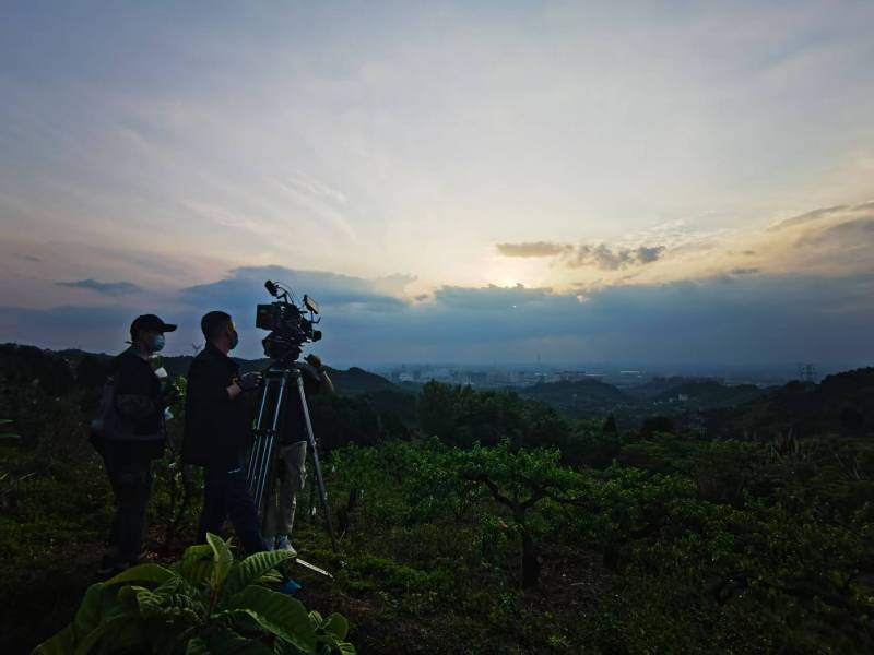 聚焦临渭区产品宣传视频拍摄公司，用专业实力铸就品牌传播传奇