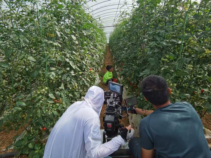 临渭区产品宣传视频拍摄公司进阶指南，助力品牌抢占传播高地